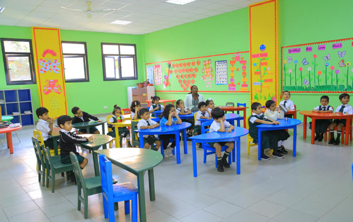 About the Course - DPIS Society